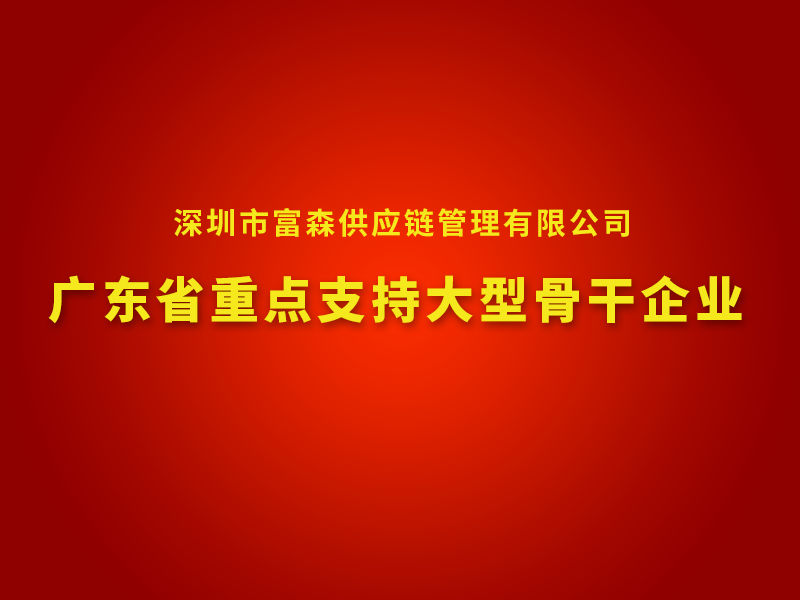广东省重点支持大型骨干企业